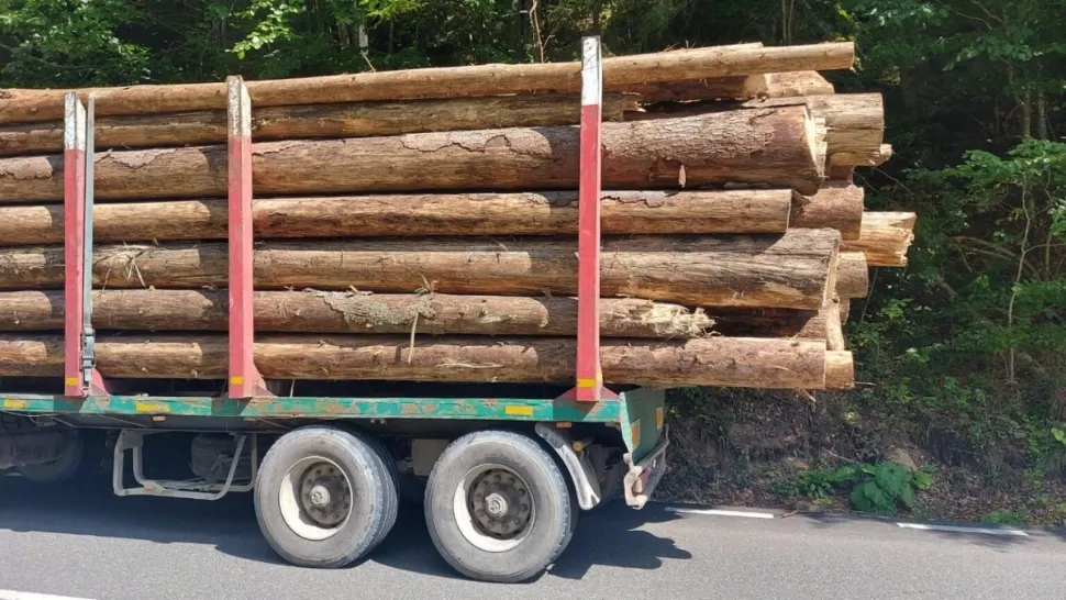 Covasna: Camion cu lemne răsturnat la Lemnia; trafic blocat pe DN 11