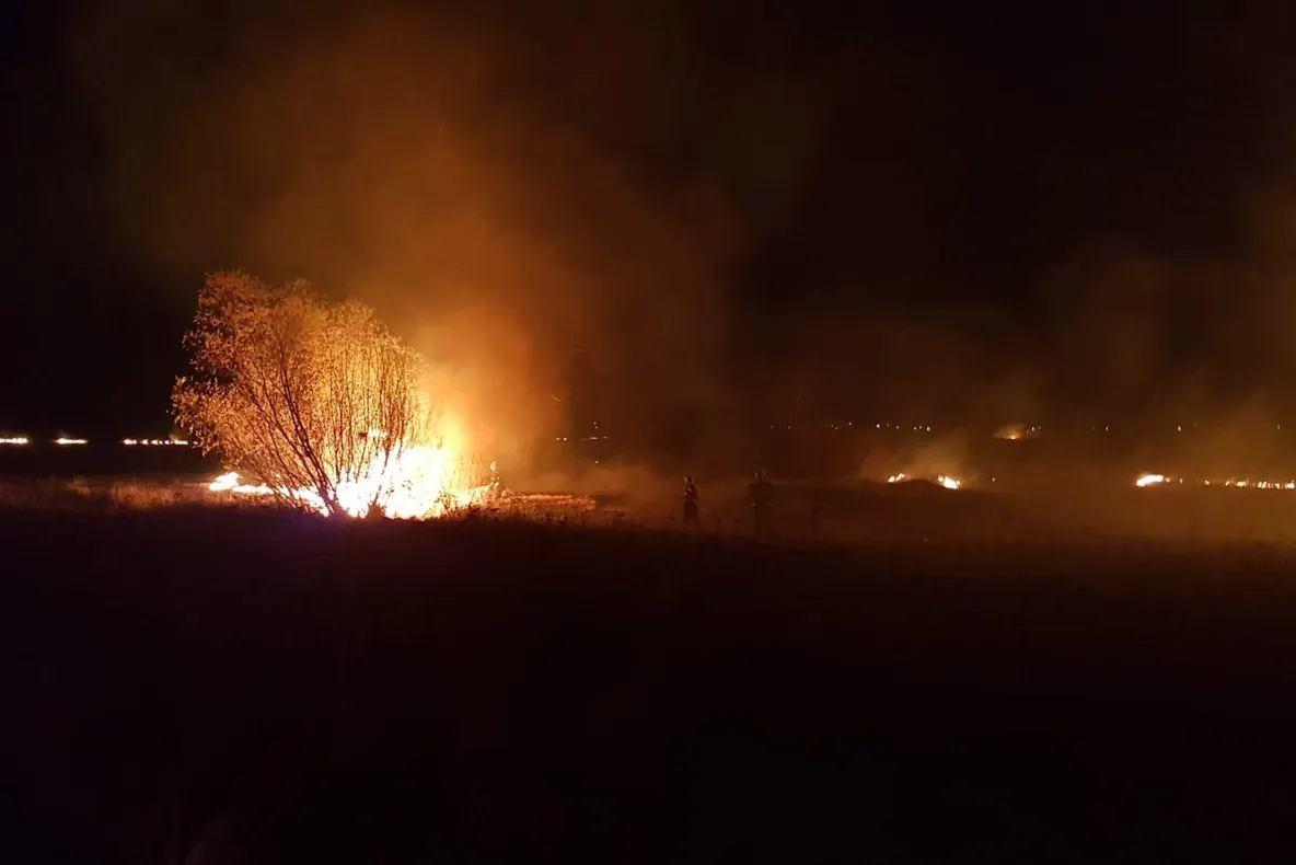 Şase incendii de vegetaţie într-o singură zi în judeţul Covasna