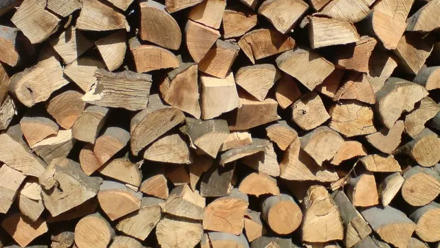 Aproape 7.800 mc lemne de foc pentru populație, scoase la vânzare de Direcția Silvică Covasna