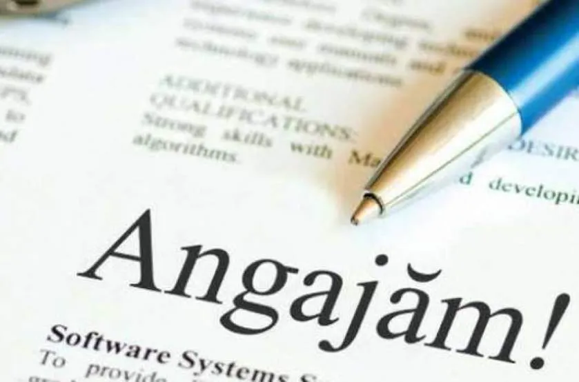 Aproape 400 de locuri de muncă vacante în judeţ, cele mai multe pentru necalificaţi
