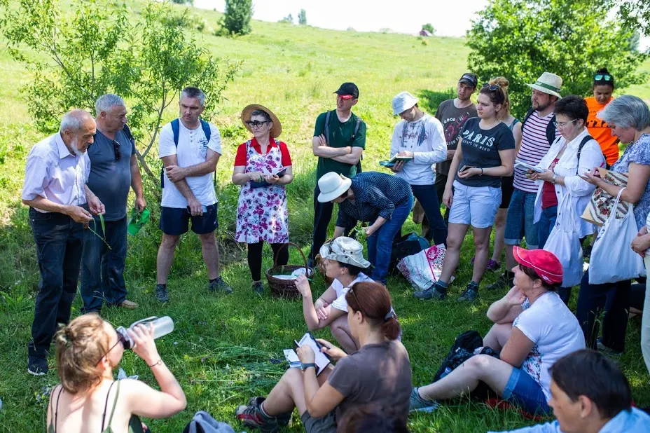 Curs de plante medicinale organizat de Asociaţia AgroSic