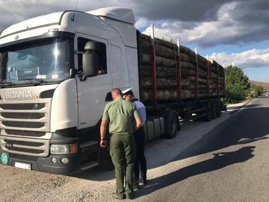 Polițiștii covăsneni, acțiune pentru protejarea pădurilor