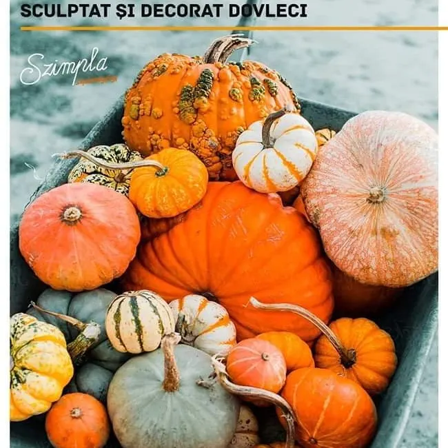 Dovlecii prind viață weekend-ul viitor la Szimpla Sfântu Gheorghe