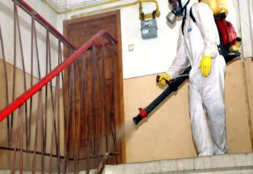 Luni încep ample controale la firmele de deratizare din judeţul Covasna