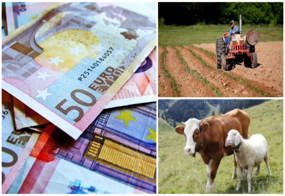 Aproape 760.000 de fermieri autorizați pentru plată în ultima lună, pentru sectorul vegetal și zootehnic