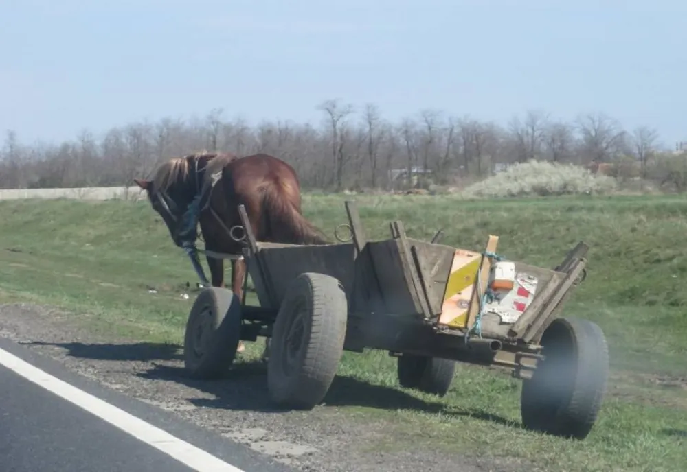 A fost călcat de căruța din care a căzut!