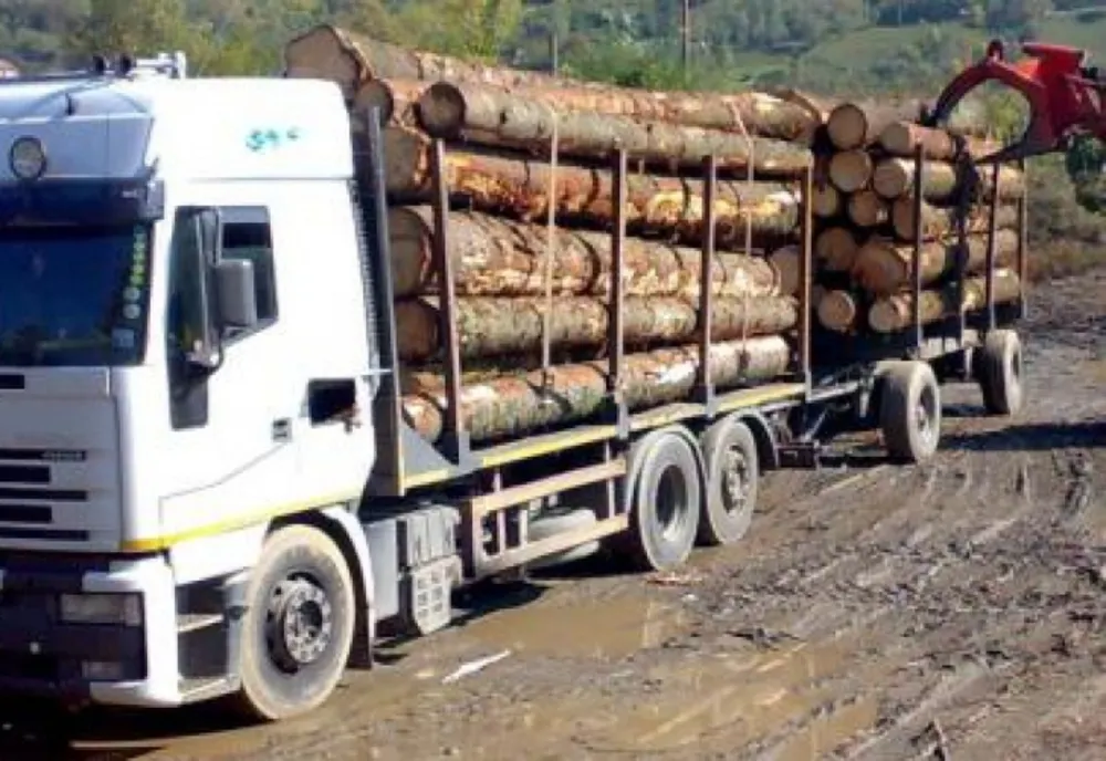 Amendă de 5000 de lei pentru transport ilegal de lemn