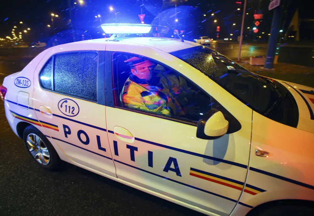 Cercetat pentru contrabandă, operațiuni cu articole pirotehnce, tăiere de arbori și furt de material lemnos