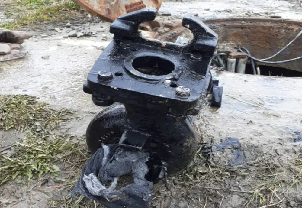 Portocalele, lenjeria intimă sau scutecele pentru bebeluși nu au ce căuta în canalizare