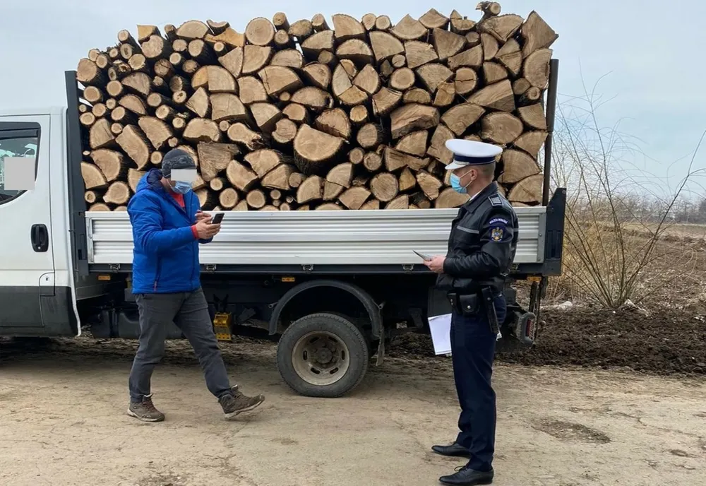 Amendă de 8.000 de lei pentru nereguli în domeniul silvic