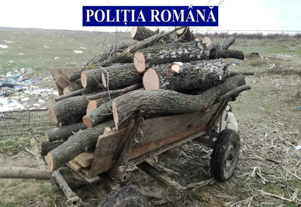 4 bărbați prinși în timp ce transportau, ilegal, lemne