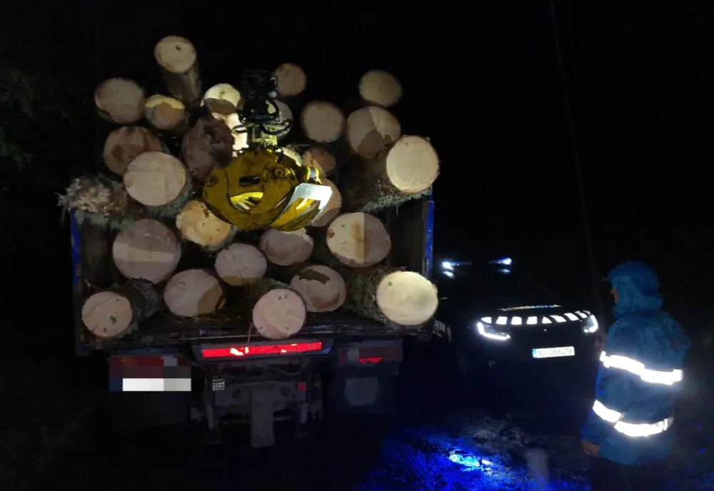 Prins în timp ce transporta, ilegal, lemne!