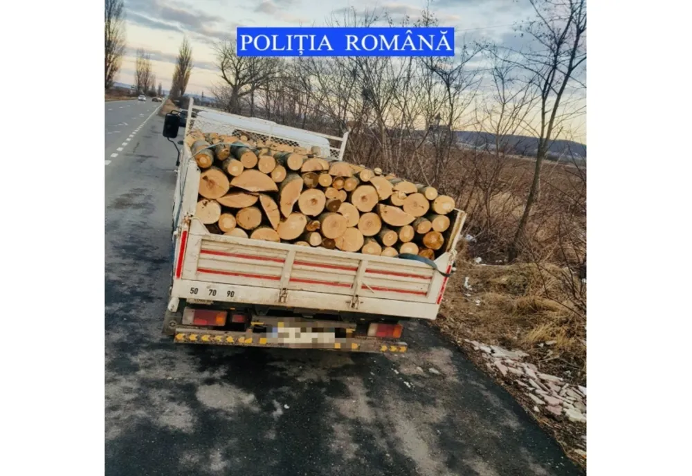 Amenzi de peste 10.000 de lei pentru infracțiuni silvice