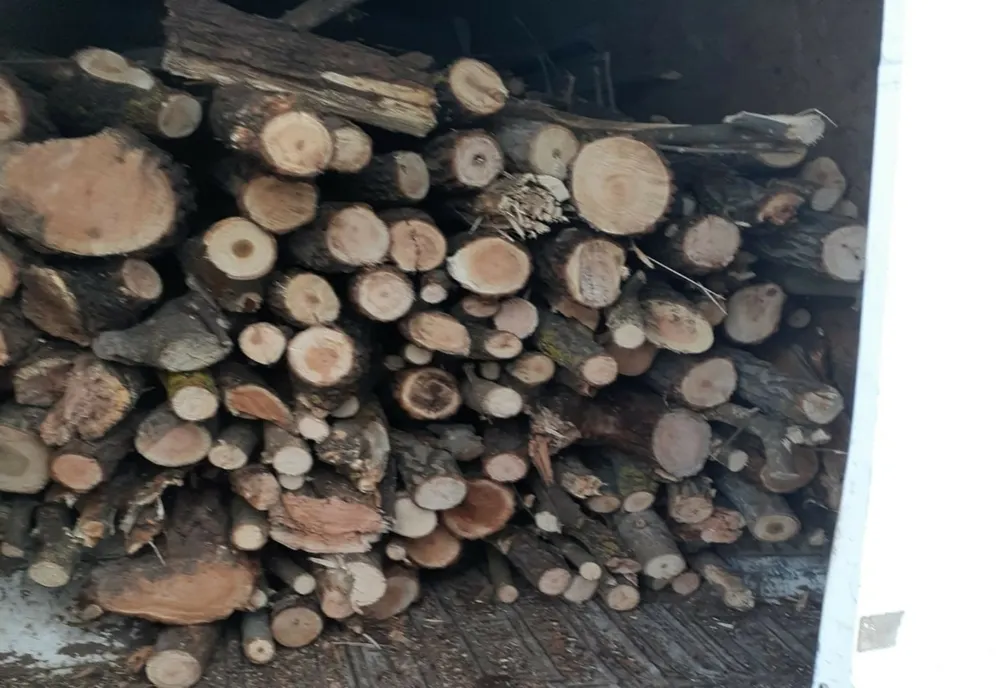 Bărbați prinși în timp ce transportau, ilegal, lemne
