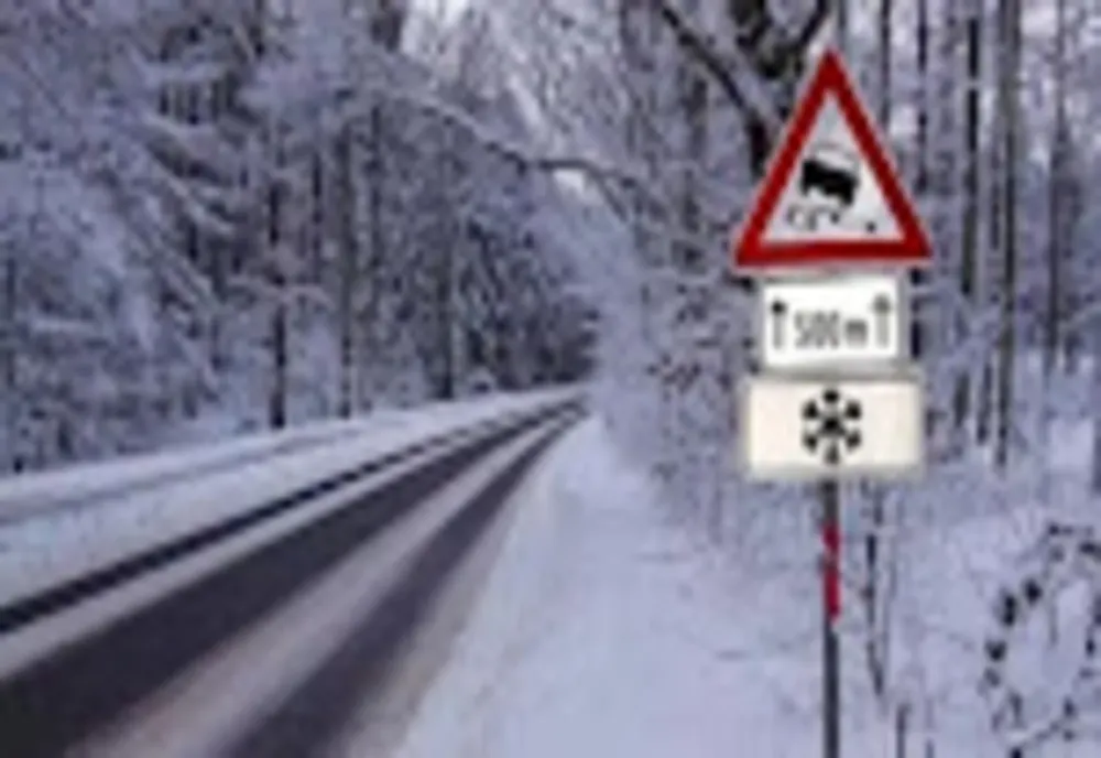 A nins abundent în Covasna și Harghita (VIDEO)