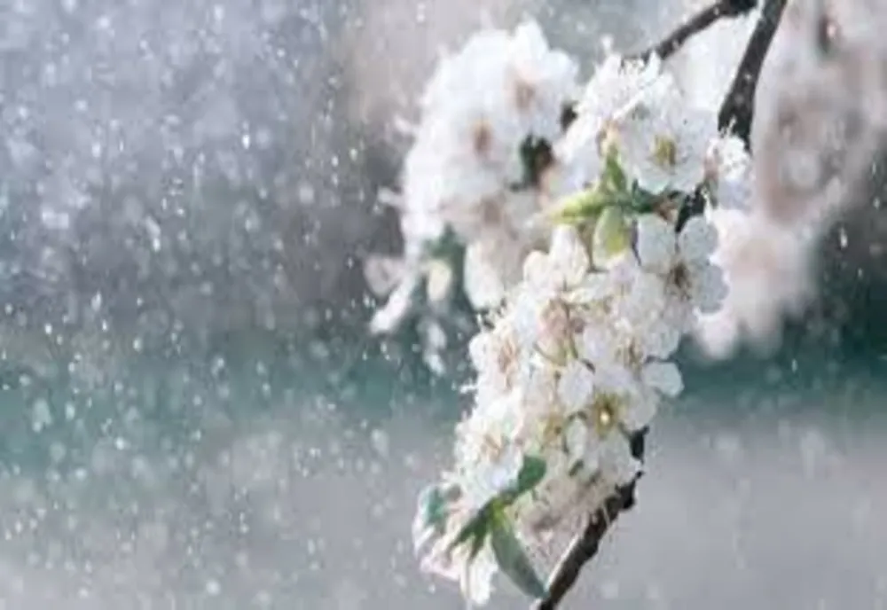 Prognoza meteo 27 aprilie. Instabilitate accentuată - averse și condiții de grindină, dar cu maxime de 26 de grade