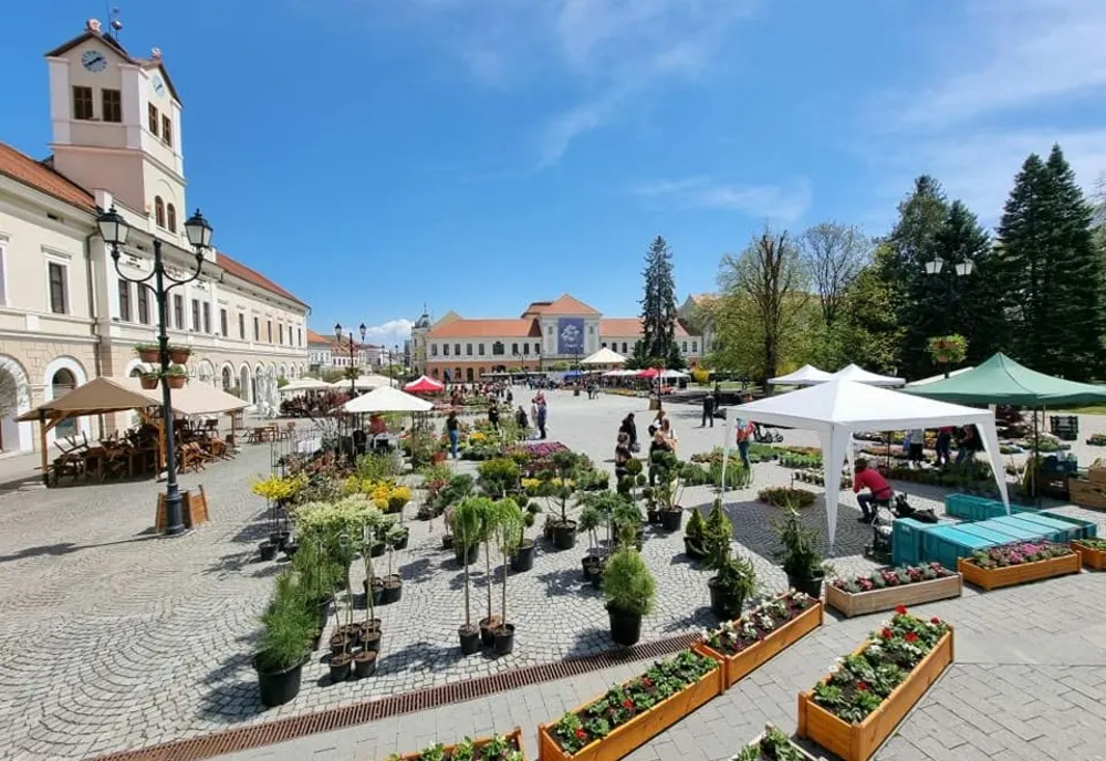 Târg de flori, în acest weekend, la Sfântu Gheorghe