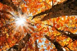Vremea în următoarele săptămâni din septembrie