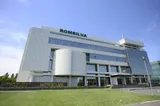 Romsilva a finalizat și recepționat cele 19 proiecte de corectare a torenților, finanțate prin PNRR