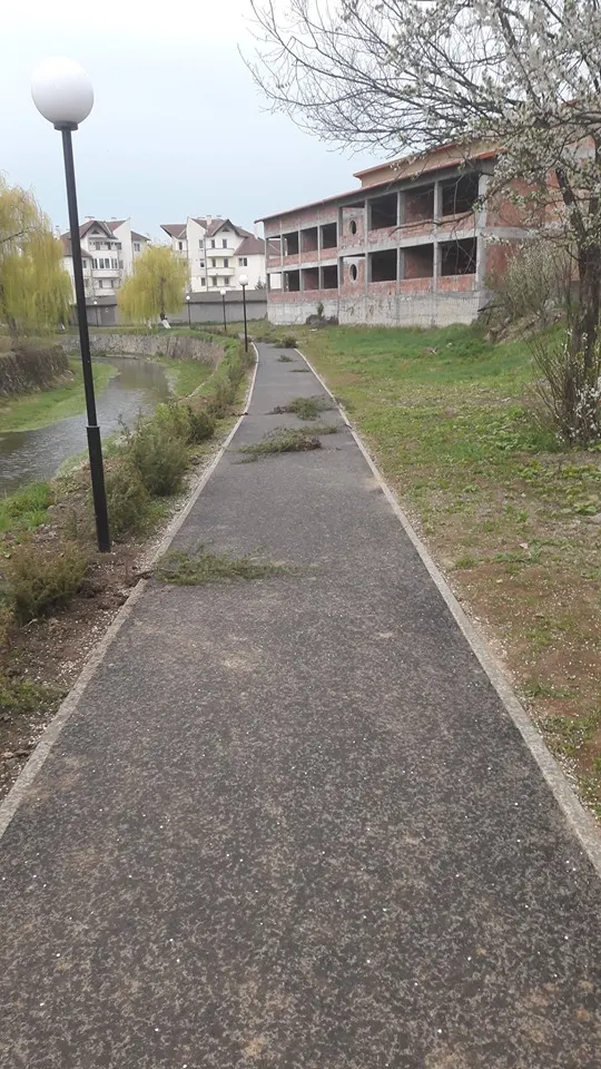 puieți