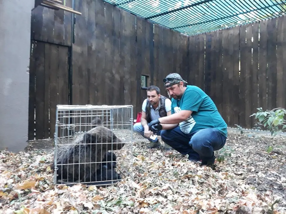 urs bixad1