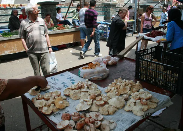 vanzatori ciuperci