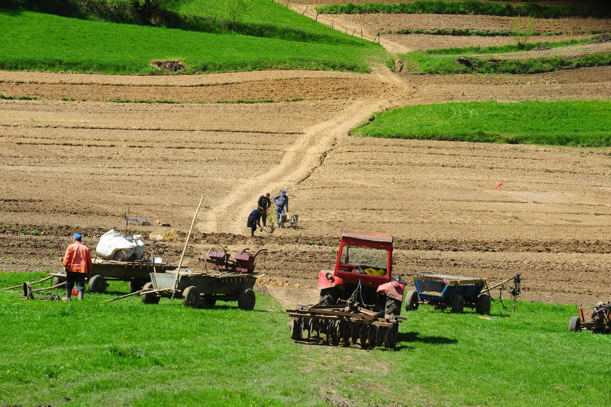teren-agricultura