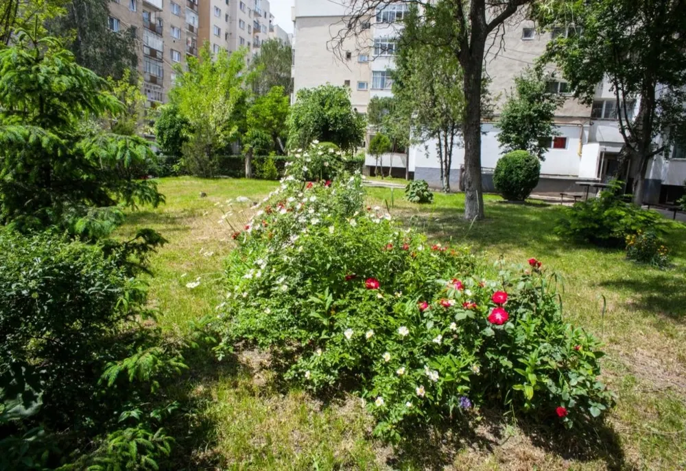 Programul de înfrumuseţare a zonelor verzi continuă şi în 2020. Asociaţiile de proprietari pot solicita de la Primăria Sfântu Gheorghe produse în valoare maximă de 1.500 de lei