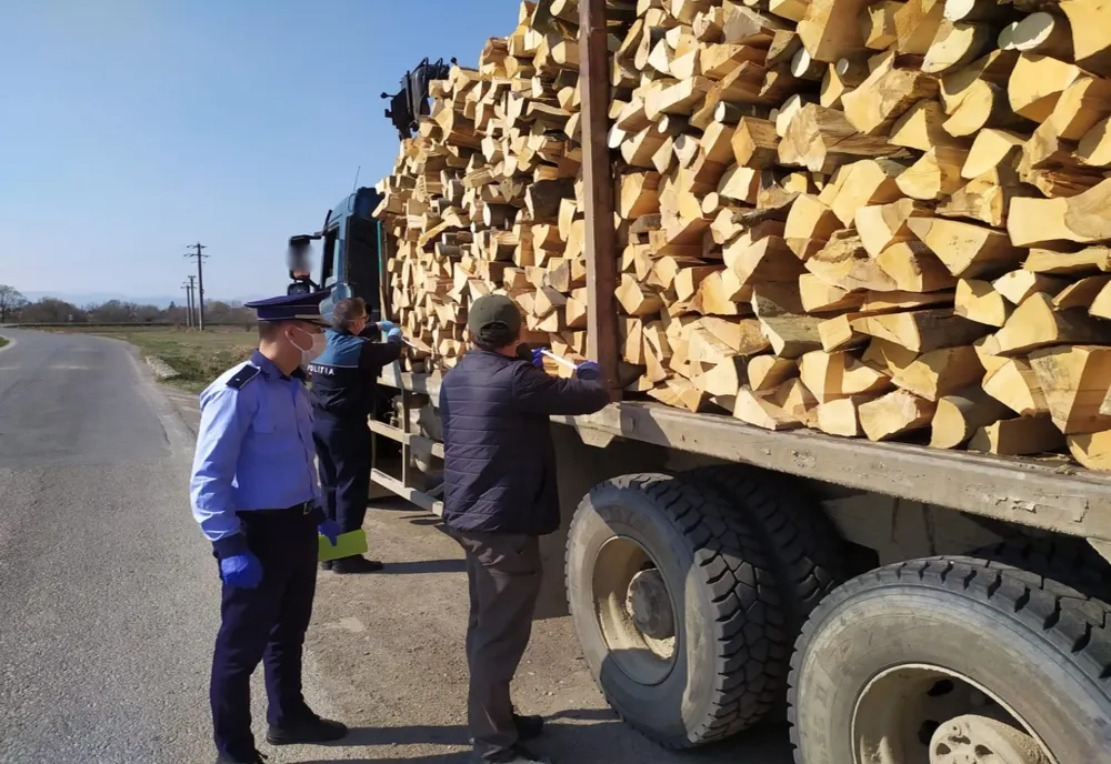FOTO. Amenzi totale de 20.000 lei și lemne în valoare de alte 5.000 lei confiscate de Poliția și Garda de Mediu Covasna 