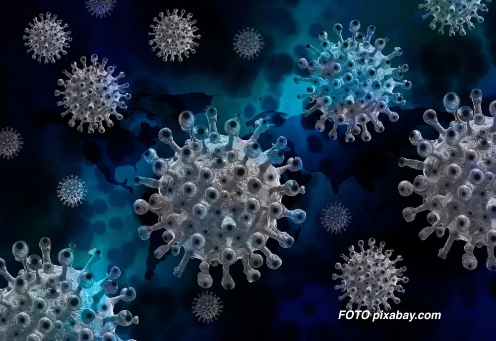Focar de coronavirus provenit de la 8 muncitori veniți din India, la Bod!