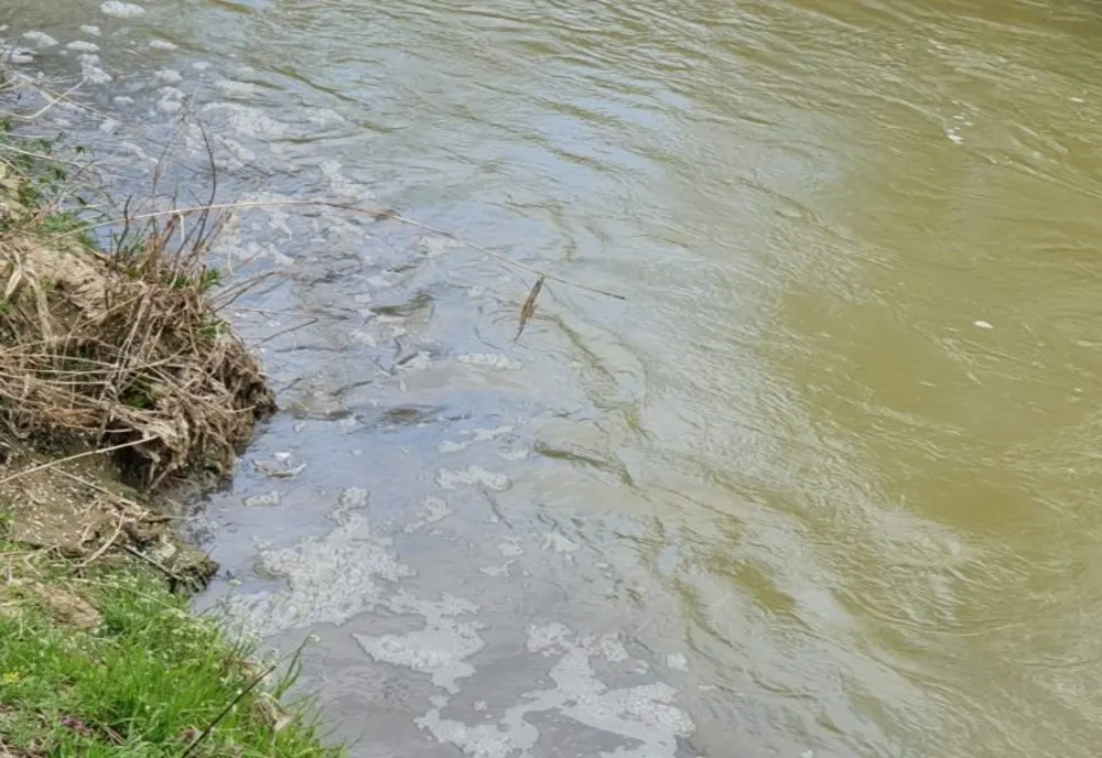 Suspiciune de poluare pe Olt, în judeţul Covasna