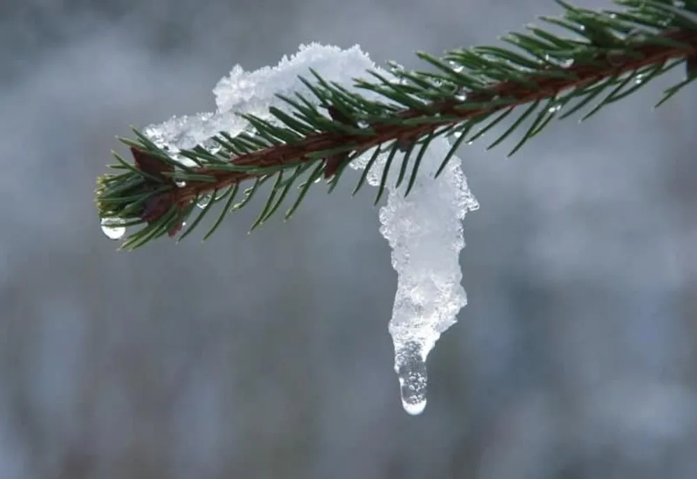 Prognoza meteo 4 săptămâni. Iarnă atipică în România - Când va fi zăpadă, în luna februarie