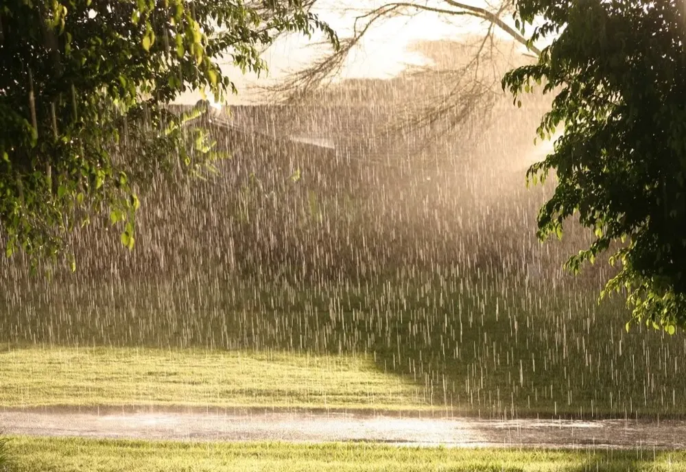 Avertizare meteo de vreme severă pentru 31 de județe