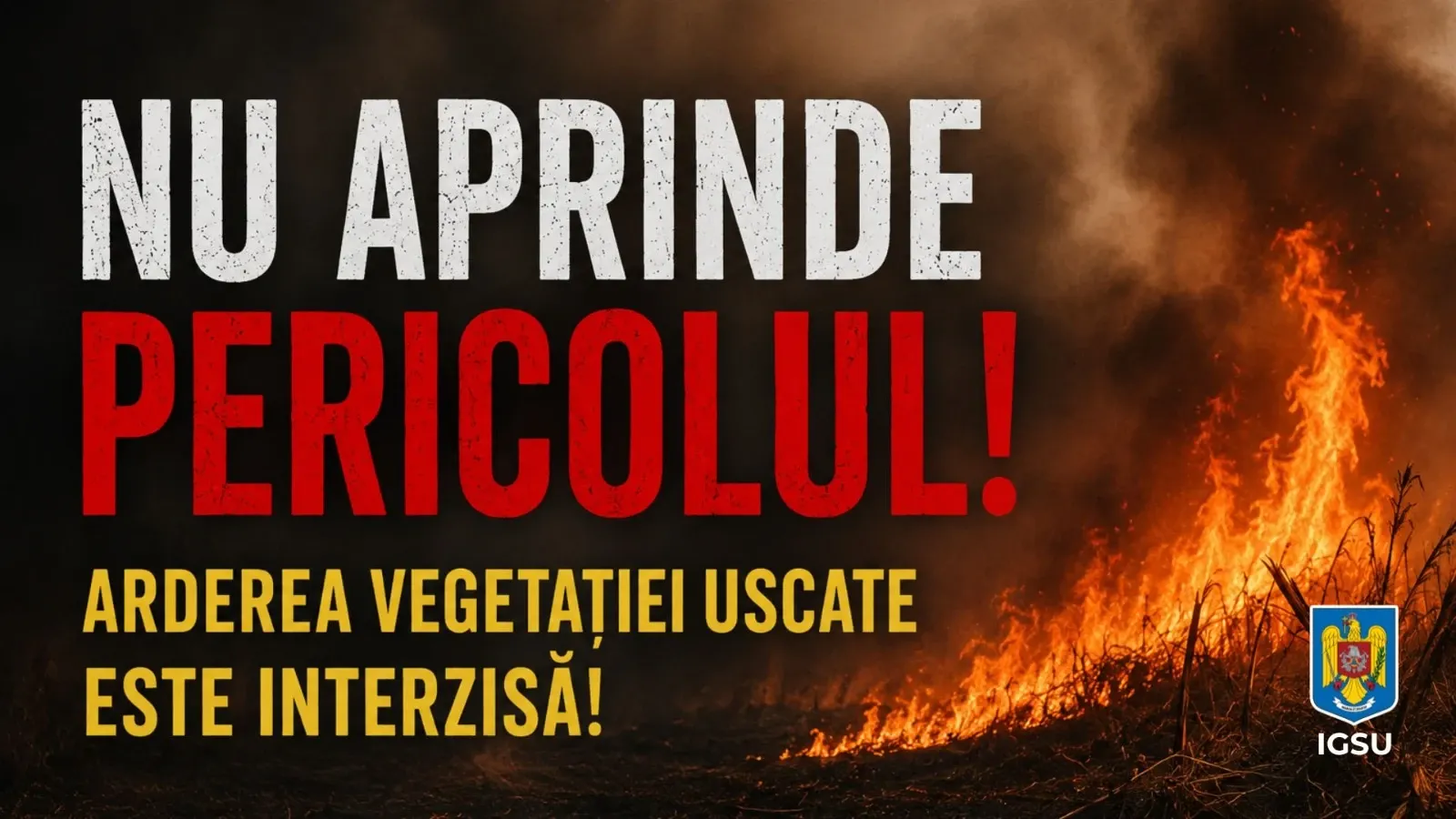 Campanie IGSU