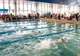 140 de înotători de la 9 cluburi participă la Cupa Sprint de la Sfântu Gheorghe
