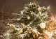 Prima lumânare de Advent şi luminile de sărbători, aprinse pe 2 decembrie la Sfântu Gheorghe