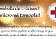 Crucea Roșie a dat startul Tombolei de Crăciun. 500 de pachete cu alimente vor ajunge la nevoieşi
