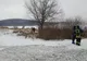 Bărbat de 46 de ani dispărut în zona Lacului Pădureni