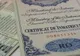 Aglomerația schimbă programul la Permise și Înmatriculări auto Covasna