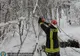 Arbori căzuți pe rețeaua electrică la Șugaș Băi, degajați de pompierii covăsneni