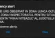 Alarmă Ro-Alert la Sfântu Gheorghe: Un urs a fost observat miercuri dimineaţă pe Lunca Oltului