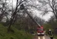 Copac căzut pe rețeaua electrică la Ilieni
