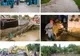 Primăria Sfântu Gheorghe va aloca anual 1 milion de lei pentru prevenirea inundațiilor