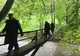 FOTO. „Împreună pentru un mediu mai curat!” – Acţiune de ecologizare în Cheile Vârghişului