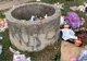 VIDEO. Mizerie de nedescris după un weekend la picnic. Directorul Tega: „Nu îi înțeleg pe oamenii care lasă mizerie”