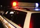 Au făcut accident cu maşina, dar i-au înscenat accidentul unui... urs!