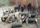 3 bărbaţi prinşi, la distanţă de o oră, la furat de lemn dintr-o pădure din judeţul Covasna