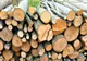 Analiză: Cât costă metrul cub de lemne în județul Covansa