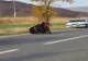 Urs în localitatea harghiteană Praid. Locuitorii, avertizați prin Ro-Alert 