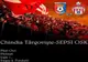 Autobuz pentru suporteri Sepsi OSK la meciul cu Chindia Târgovişte